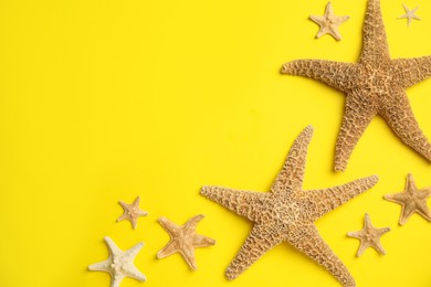 Photo of Beautiful sea stars on yellow background, flat lay. Space for text