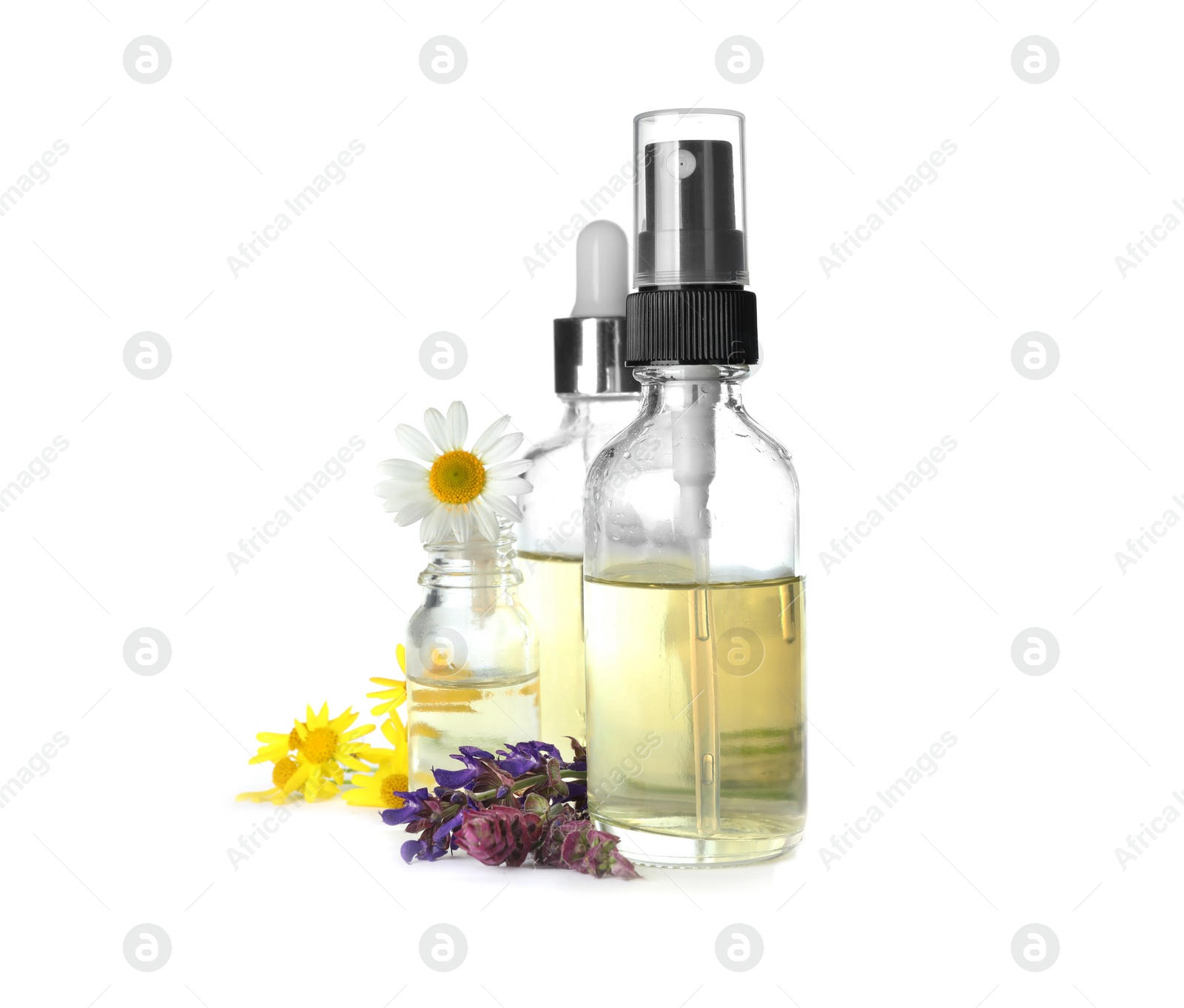 Photo of Bottles of herbal essential oils and wildflowers isolated on white