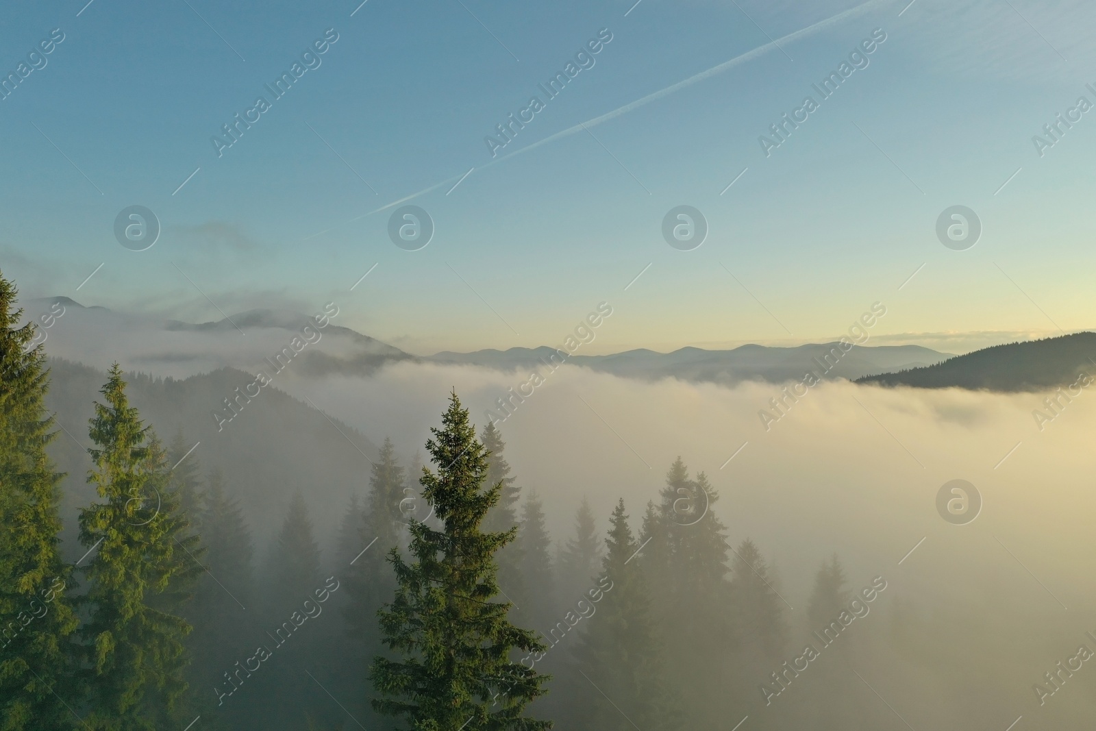 Photo of Aerial view of beautiful mountains and conifer trees on foggy morning