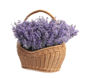 Photo of Fresh lavender flowers in basket on white background