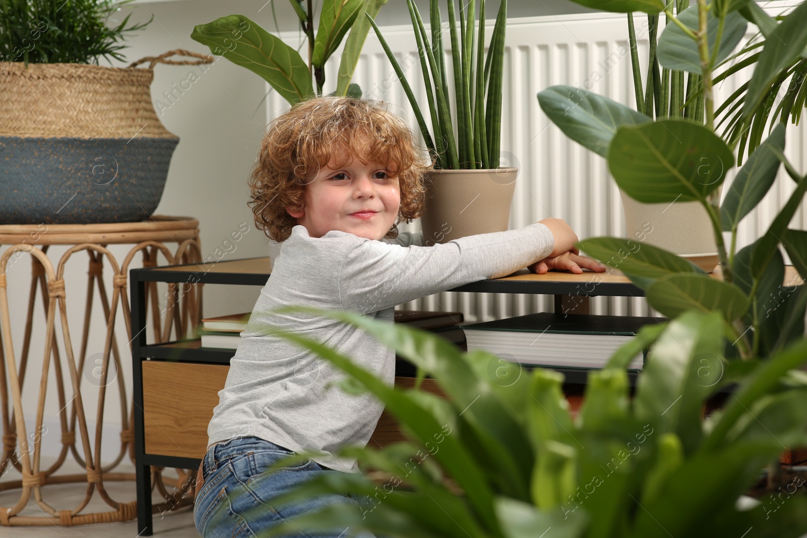 Photo of Cute little boy near beautiful green plants at home. House decor