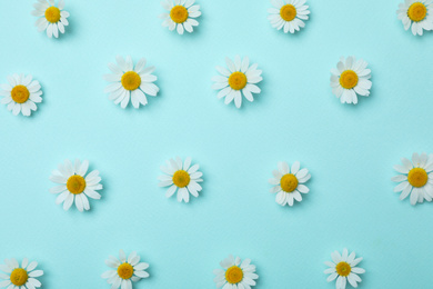 Flat lay composition with beautiful chamomiles on light blue background