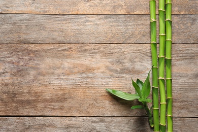 Photo of Green bamboo stems and space for text on wooden background, top view