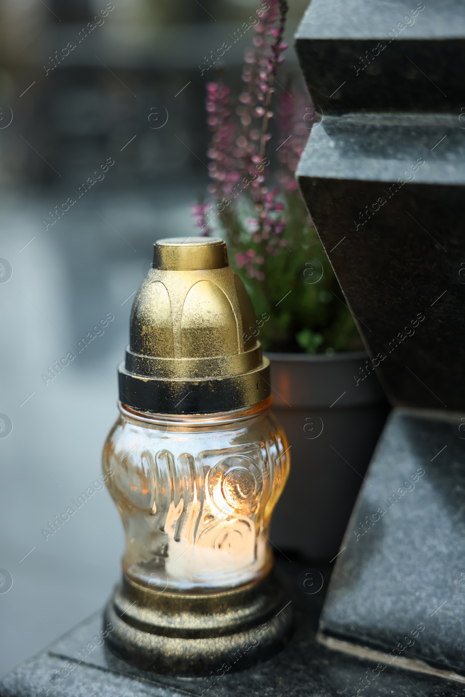 Photo of Grave light and potted heather on granite tombstone at cemetery