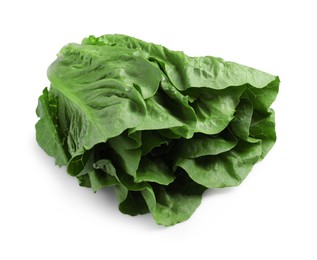 Photo of Fresh green romaine lettuce isolated on white