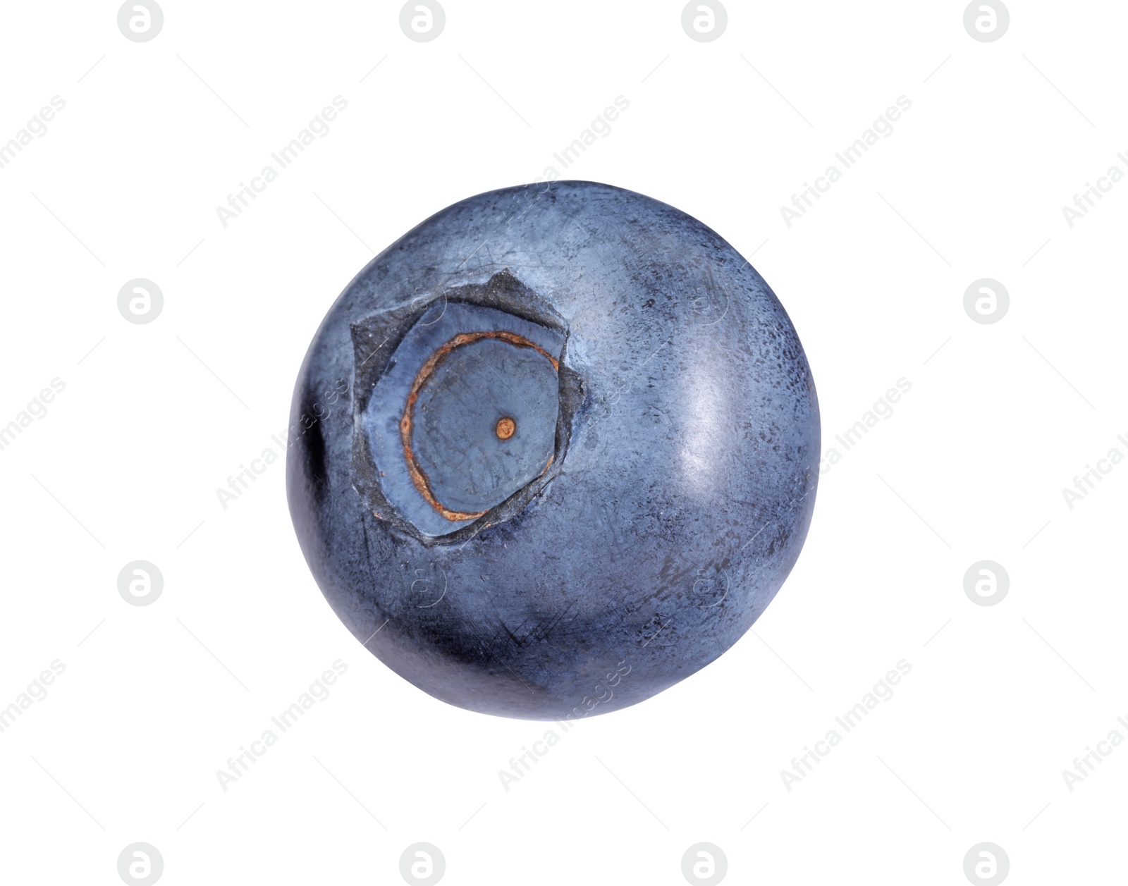 Photo of One fresh ripe blueberry isolated on white