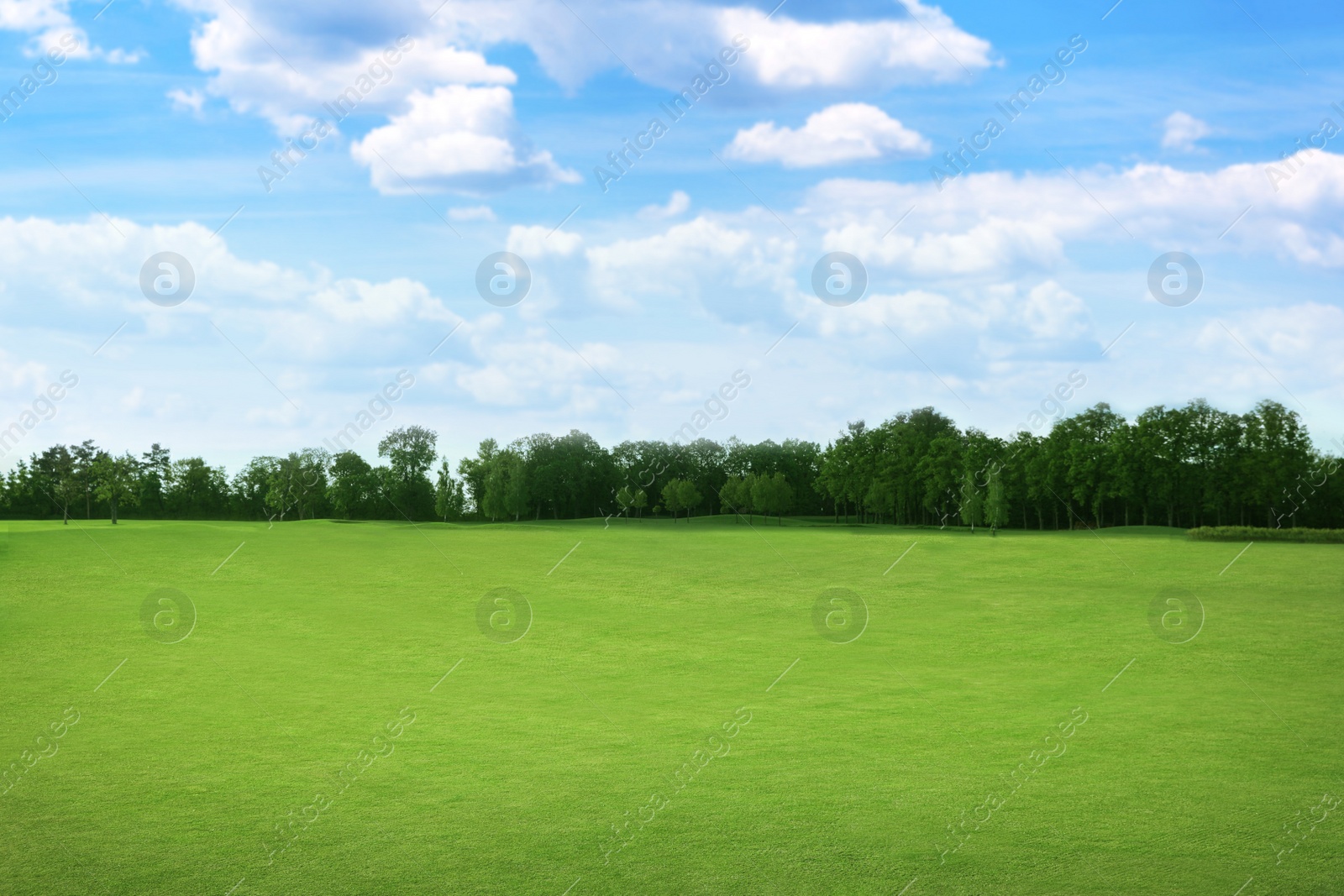 Image of Beautiful view of park with green grass on sunny day