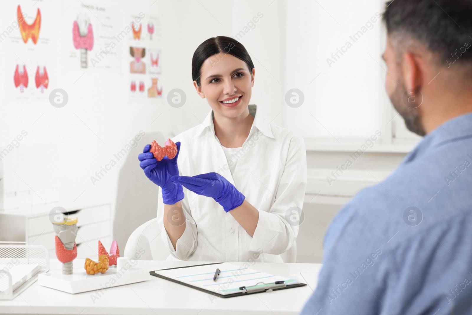 Photo of Endocrinologist showing thyroid gland model to patient at table in hospital