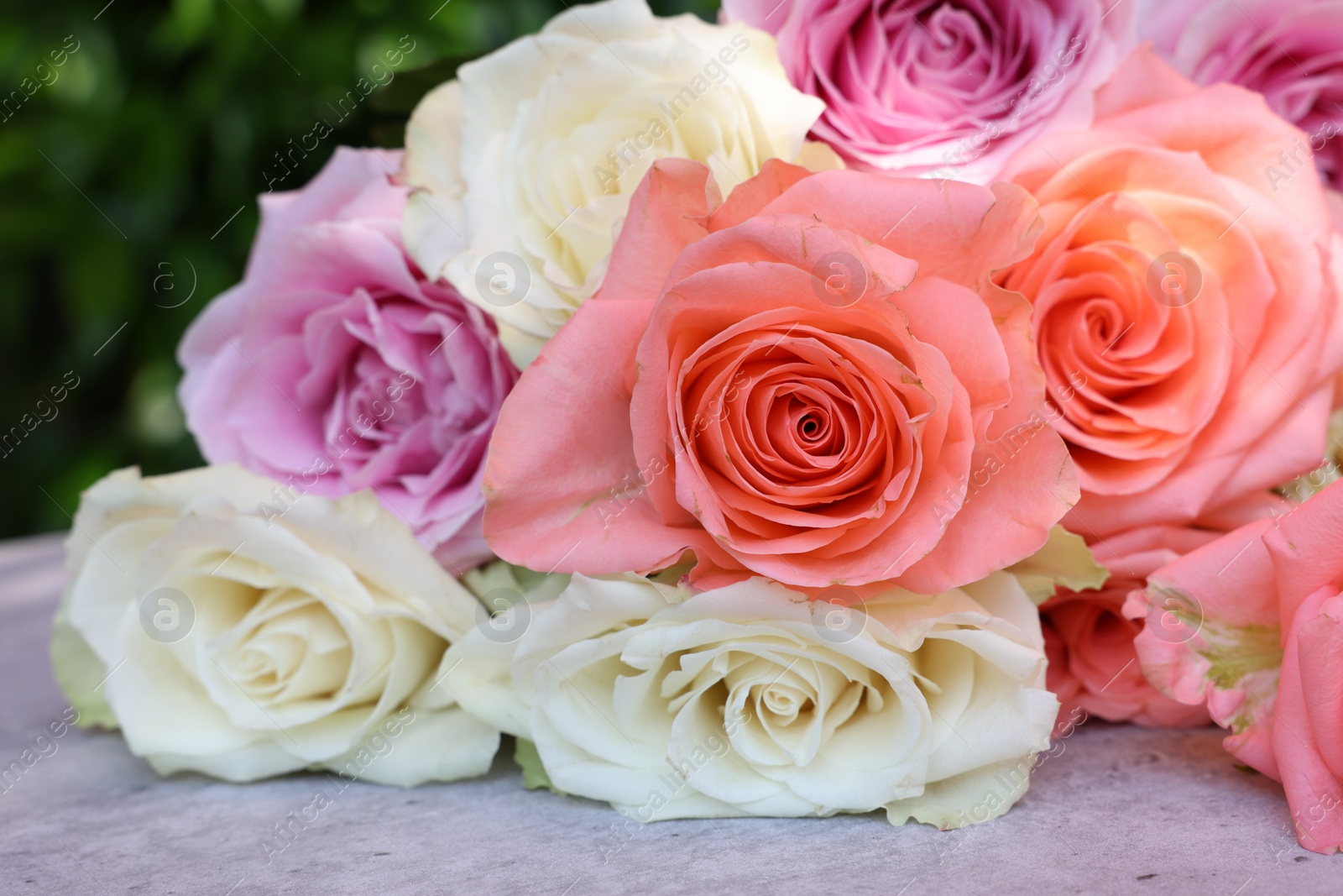 Photo of Beautiful bouquet of roses on light grey table outdoors, closeup