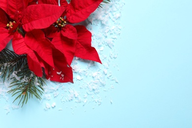 Photo of Flat lay composition with poinsettia and space for text on color background. Traditional Christmas flower