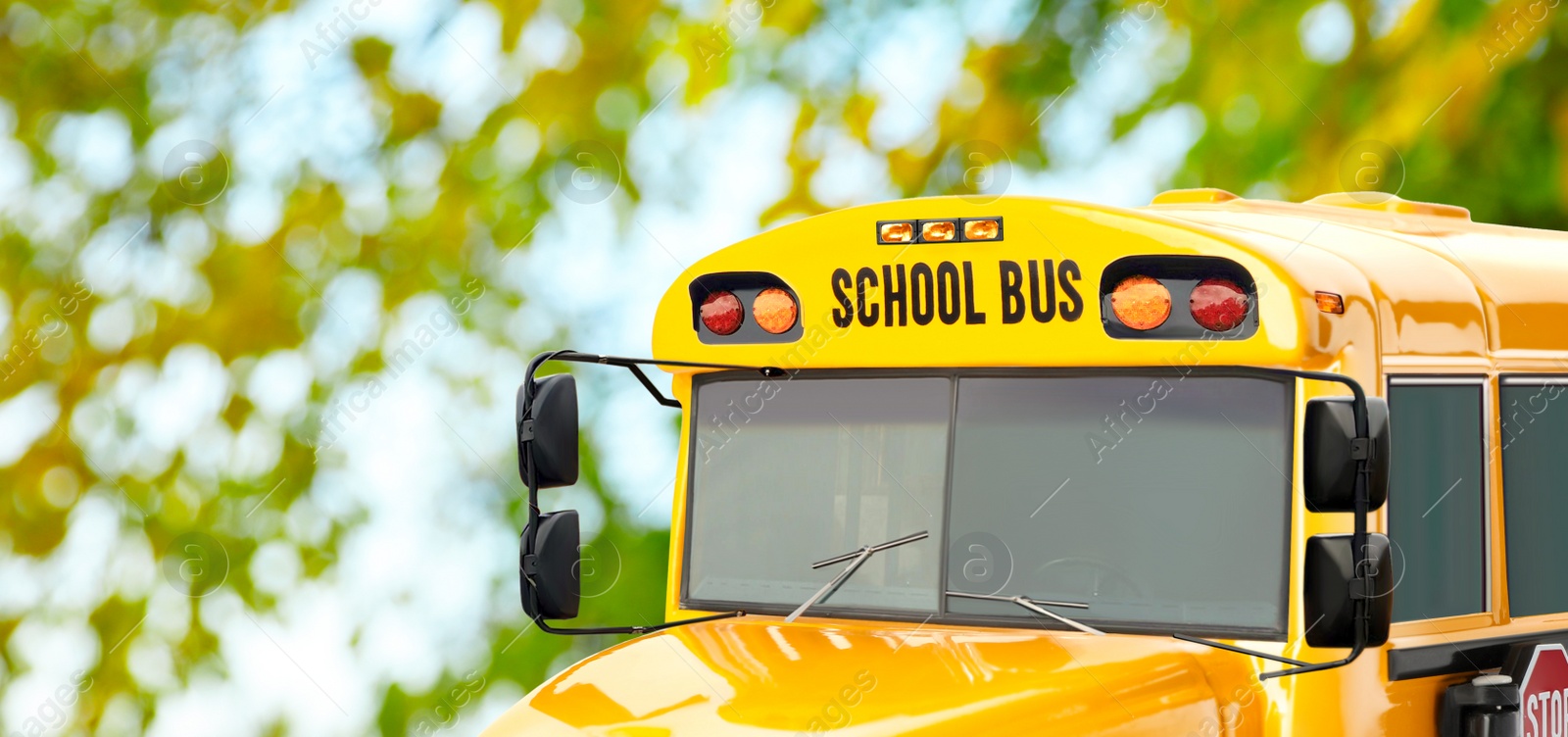 Image of Yellow school bus outdoors, closeup. Transport for students