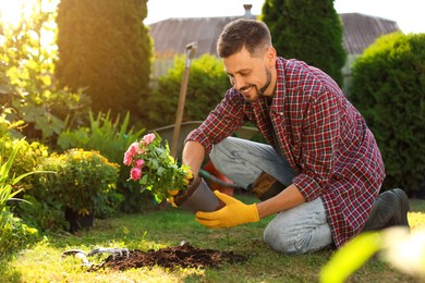 Happy man transplanting beautiful flowers into soil outdoors on sunny day. Gardening time