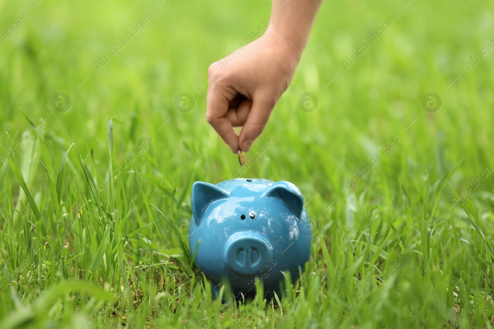 Photo of Young woman putting coin into piggy bank on green grass outdoors, closeup