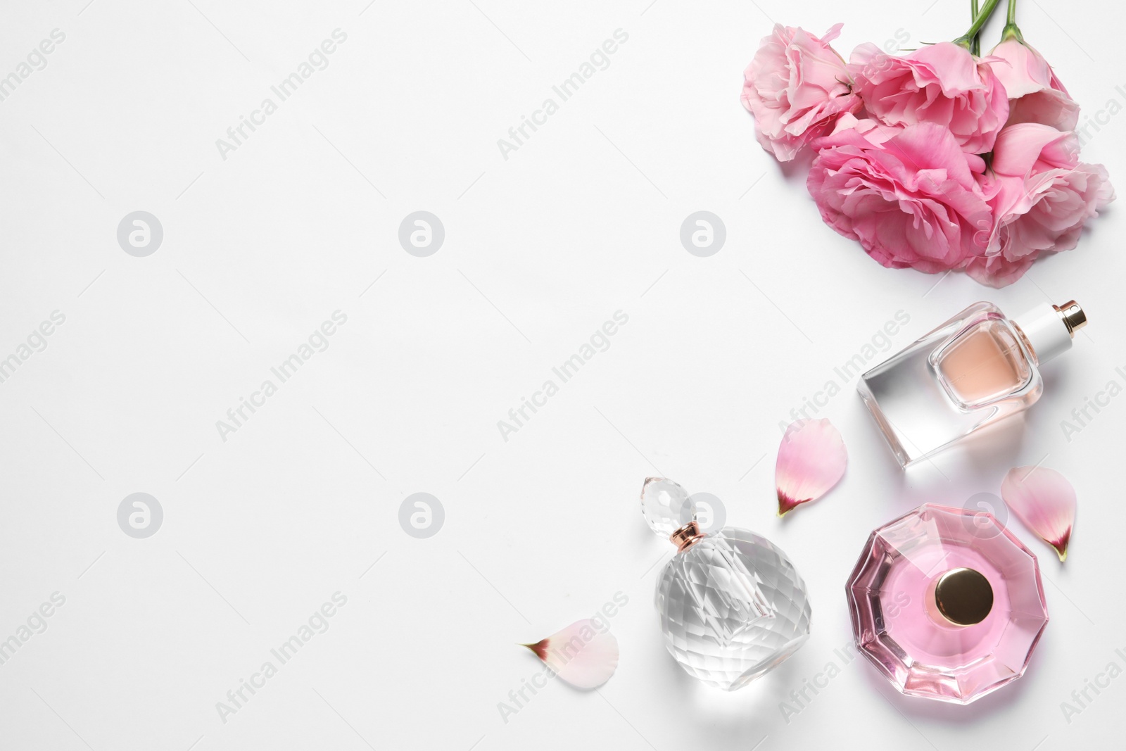 Photo of Different perfume bottles and flowers on white background, top view