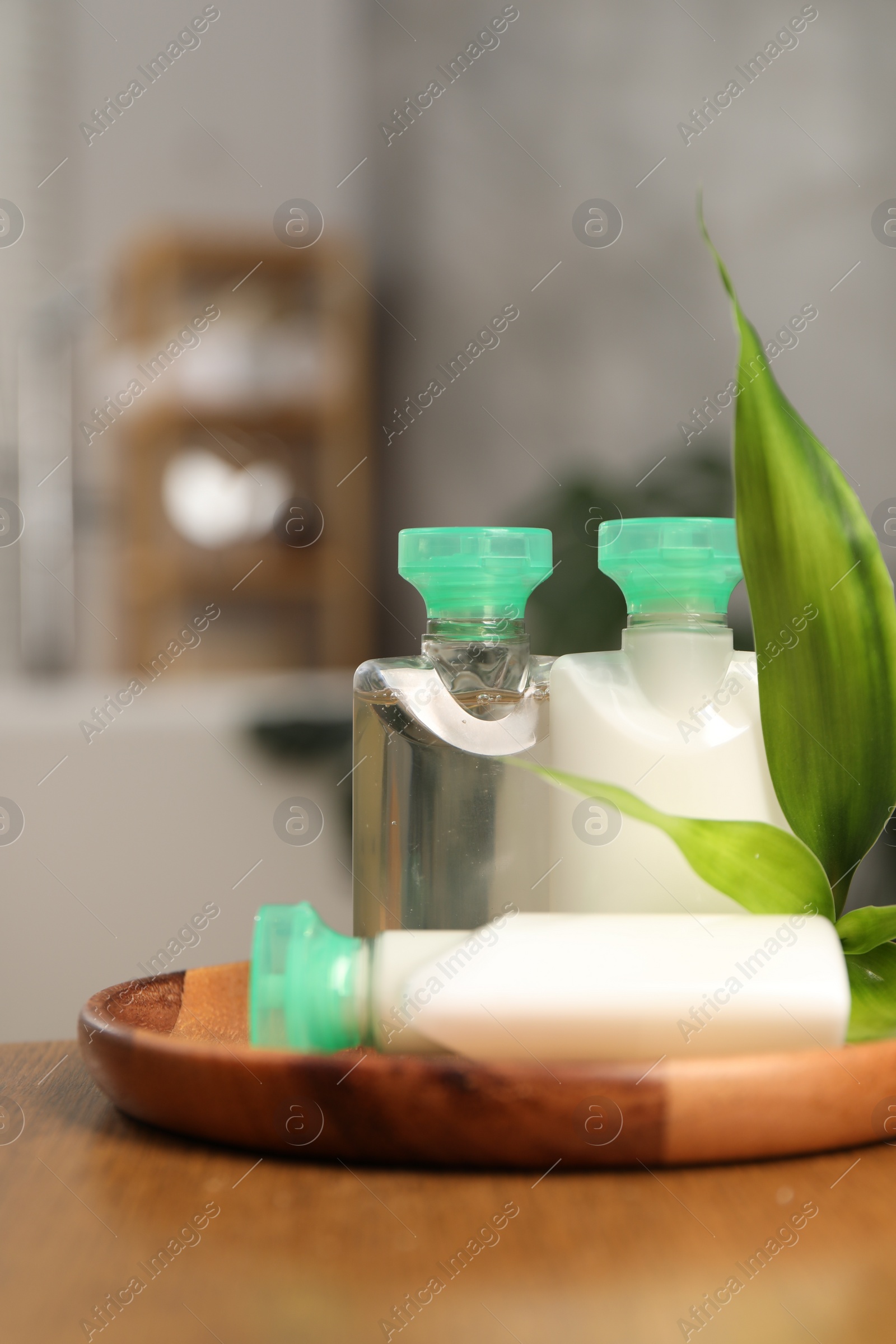 Photo of Mini bottles of cosmetic products and green branch on wooden table against blurred background