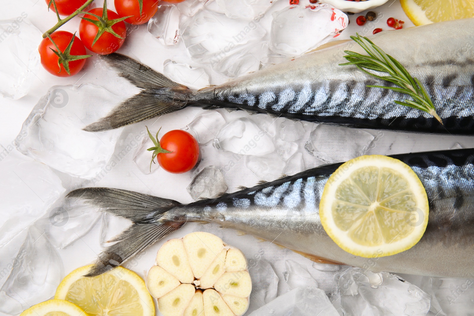 Photo of Flat lay composition with tasty raw mackerel on white marble table