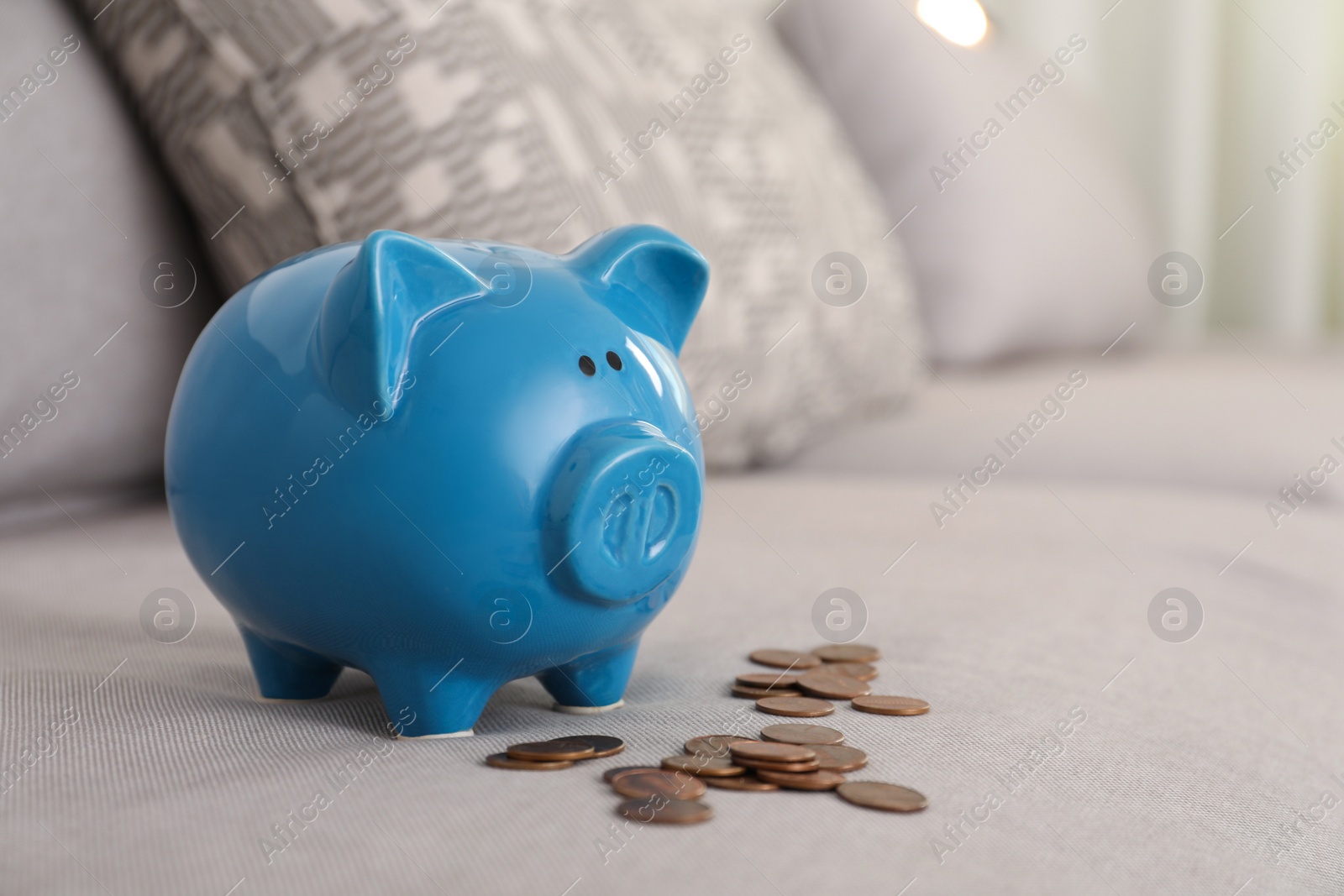 Photo of Blue piggy bank and coins on grey sofa