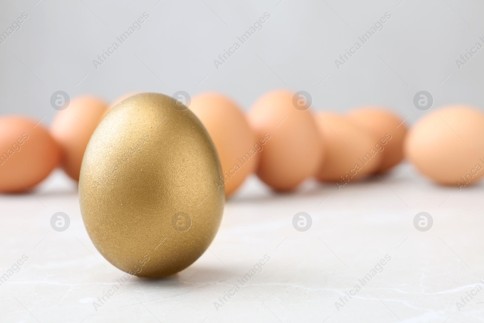 Photo of One golden egg on light table, space for text