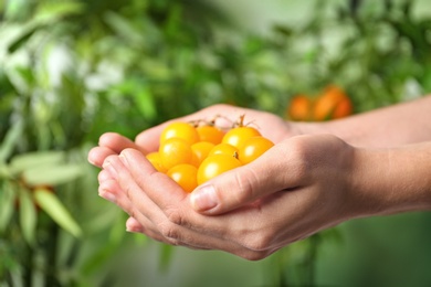 Photo of Woman holding ripe yellow cherry tomatoes against blurred background, closeup