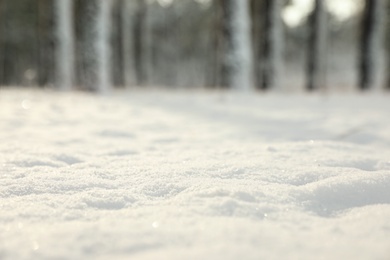 Ground covered with snow in forest, closeup