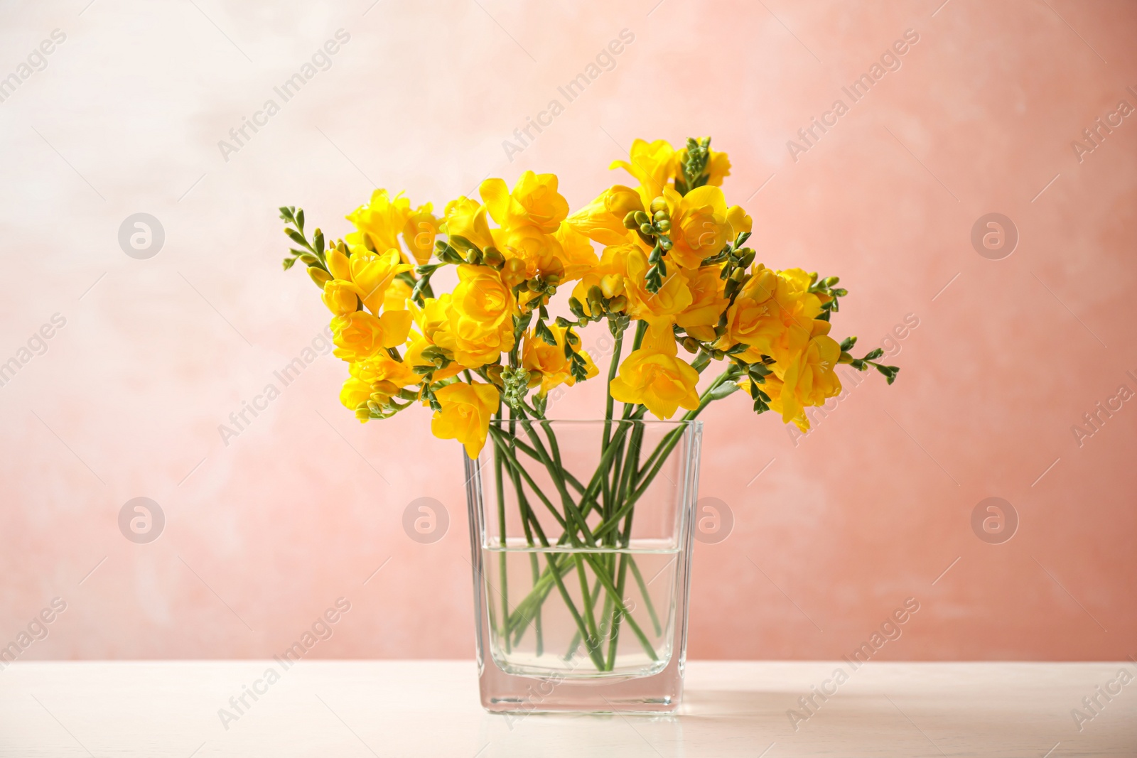 Photo of Beautiful blooming yellow freesias in glass vase on table against pink background