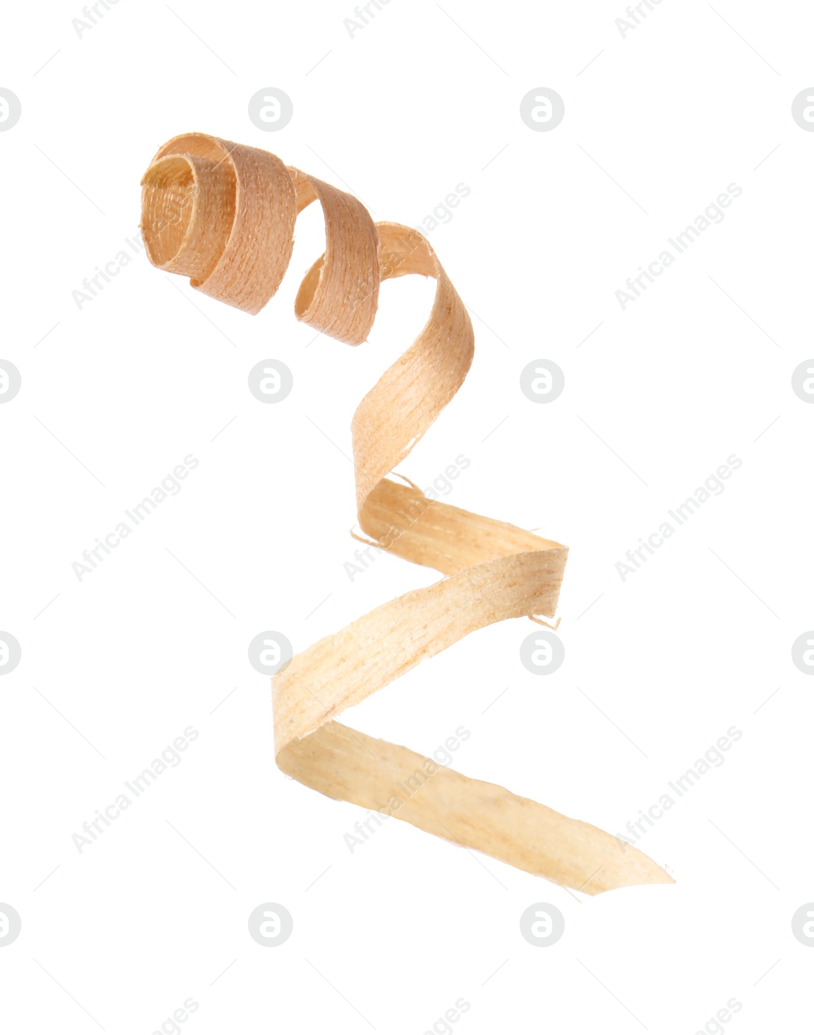 Photo of One shaving of wood isolated on white