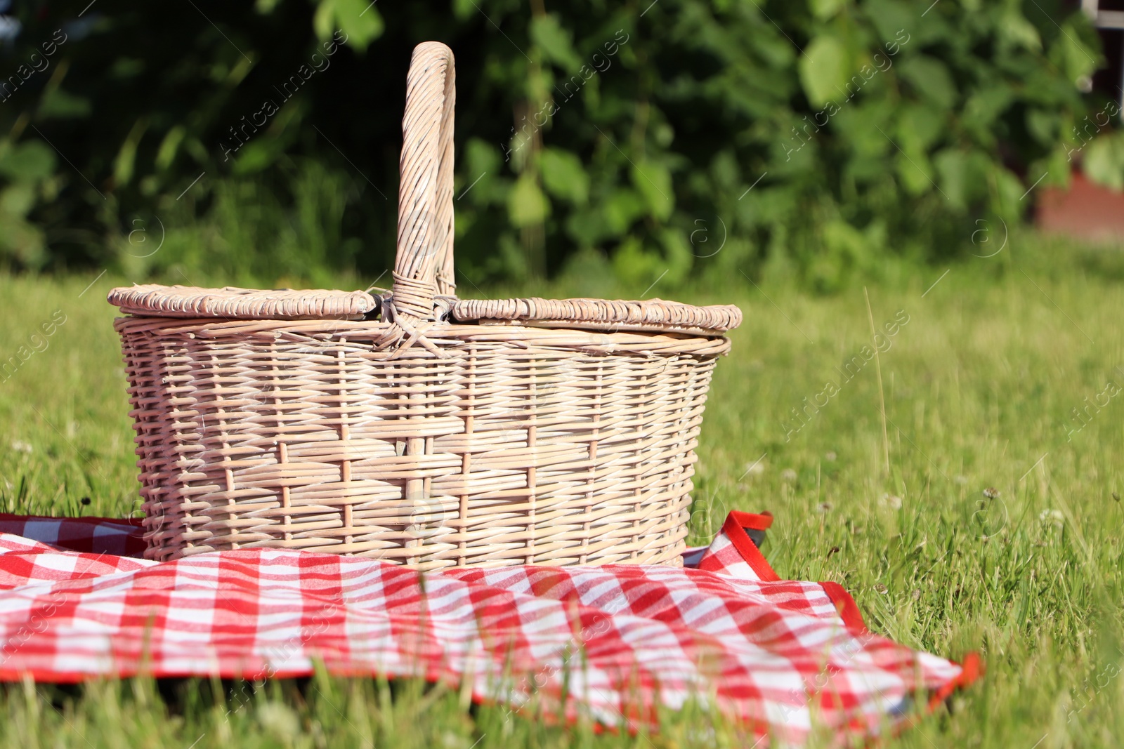 Photo of Picnic basket with checkered tablecloth on green grass outdoors, space for text