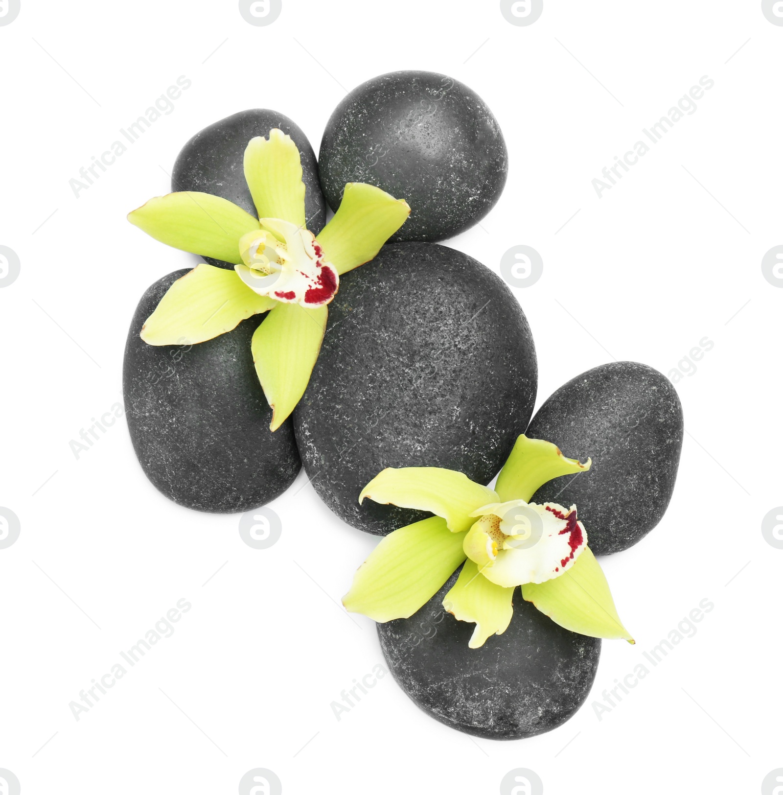 Photo of Beautiful orchid flowers with spa stones on white background, top view