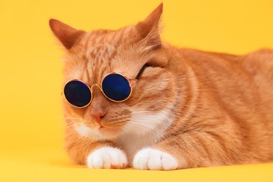 Photo of Cute ginger cat in stylish sunglasses on yellow background