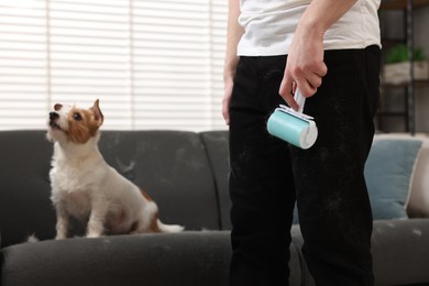Photo of Pet shedding. Man with lint roller removing dog's hair from pants at home, closeup