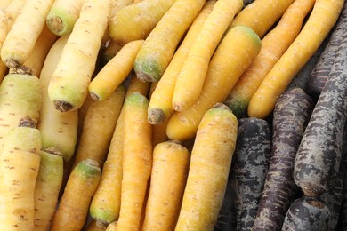 Pile of different carrots as background, closeup