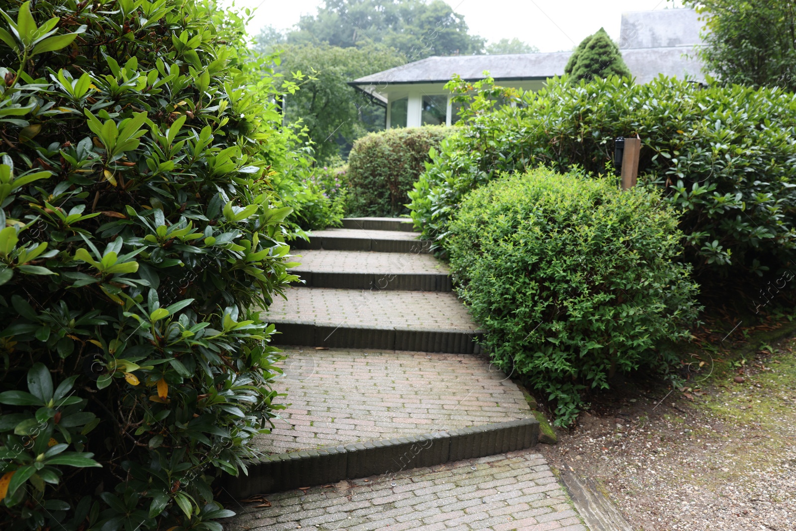 Photo of Lovely garden with green shrubbery and paved stairs. Landscape design