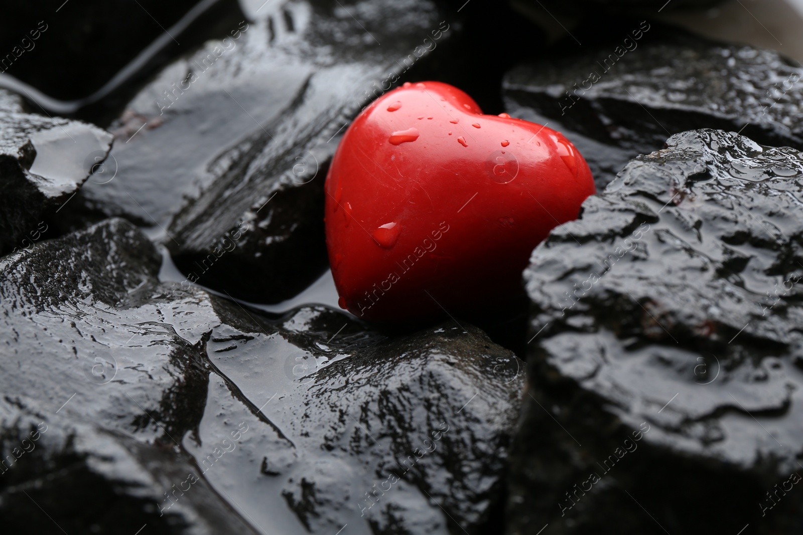 Photo of Red decorative heart on stones and water, closeup