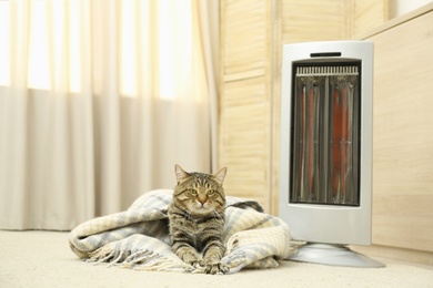 Photo of Cute tabby cat near electric infrared heater at home