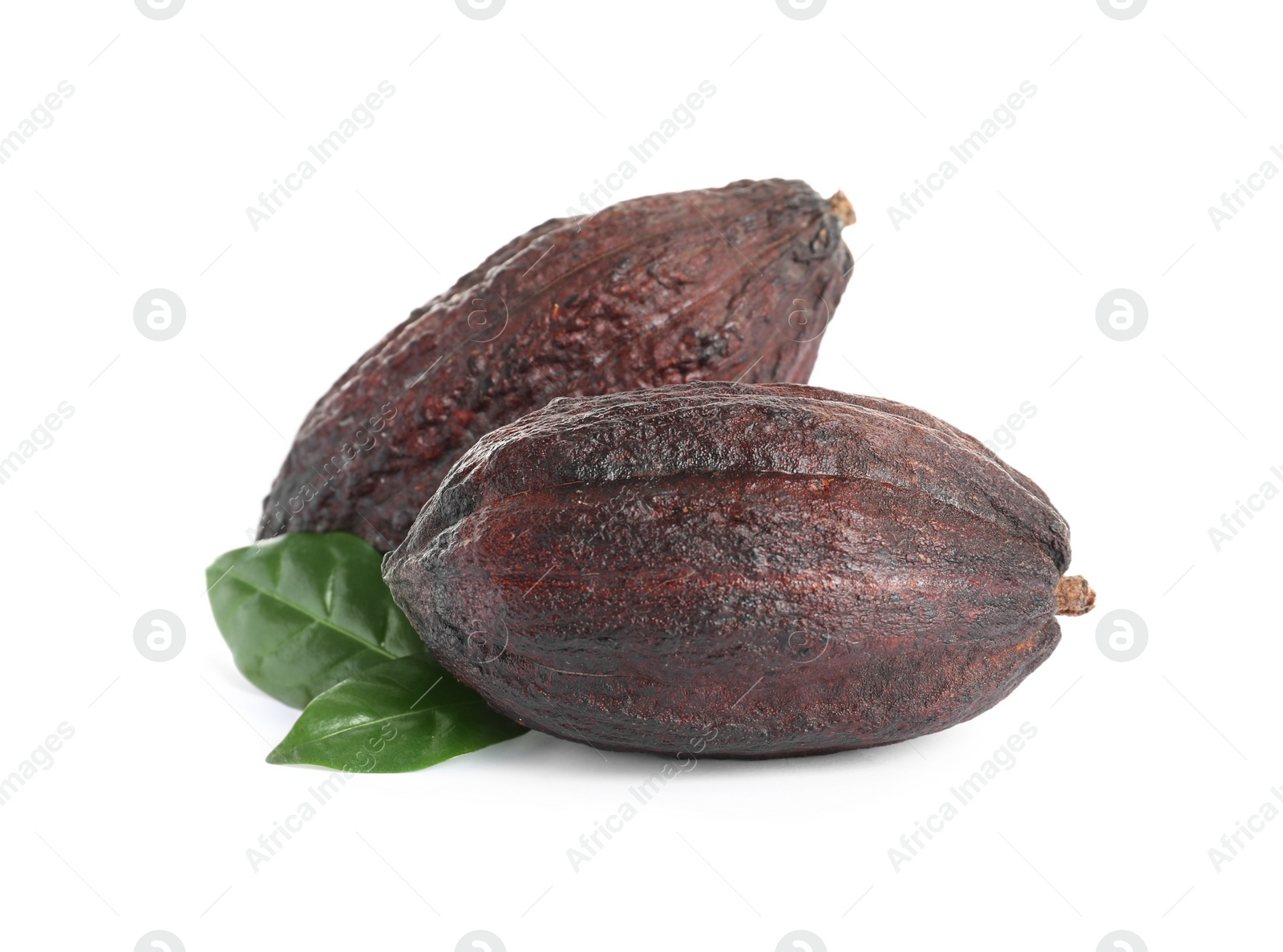 Photo of Cocoa pods and leaves on white background