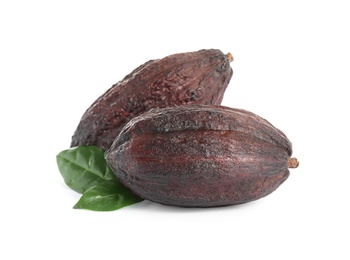 Cocoa pods and leaves on white background