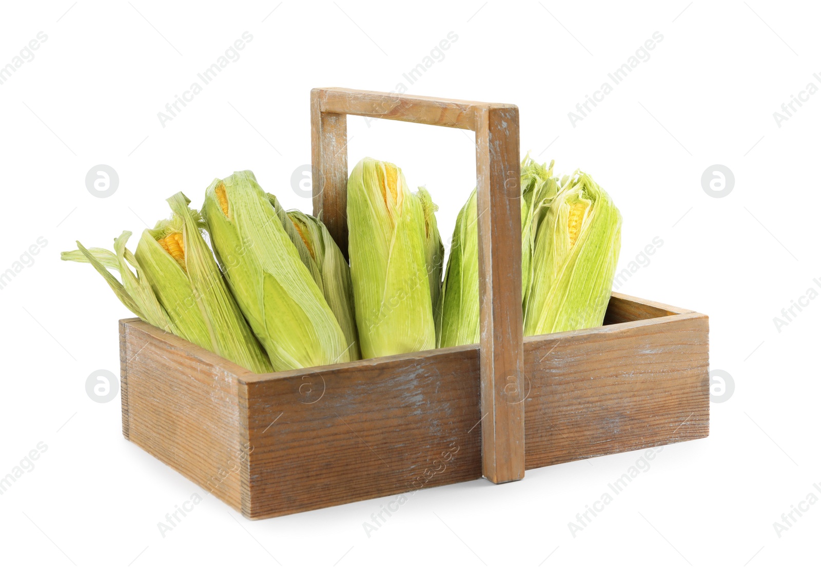 Photo of Ripe raw corn cobs in wooden basket isolated on white