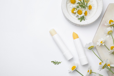 Hygienic lipsticks and chamomile flowers on white background, top view