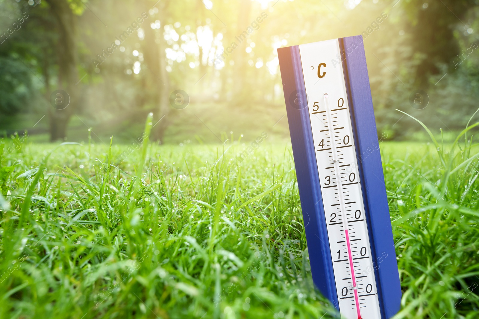 Image of Thermometer in green grass outdoors. Temperature in spring