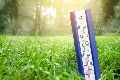 Thermometer in green grass outdoors. Temperature in spring