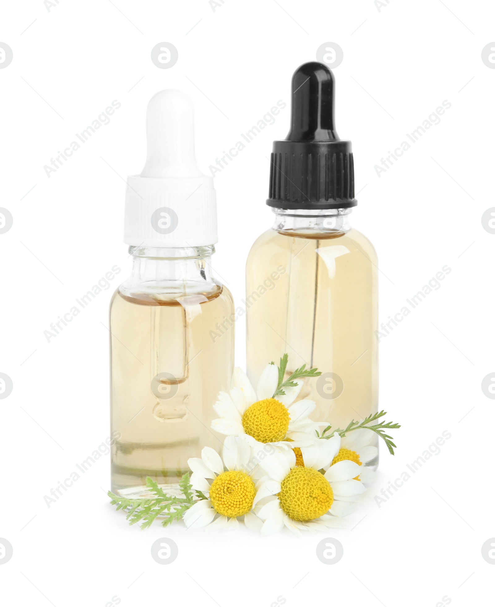 Photo of Bottles of essential oil and chamomiles isolated on white