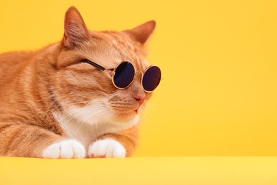 Photo of Cute ginger cat in stylish sunglasses on yellow background. Space for text