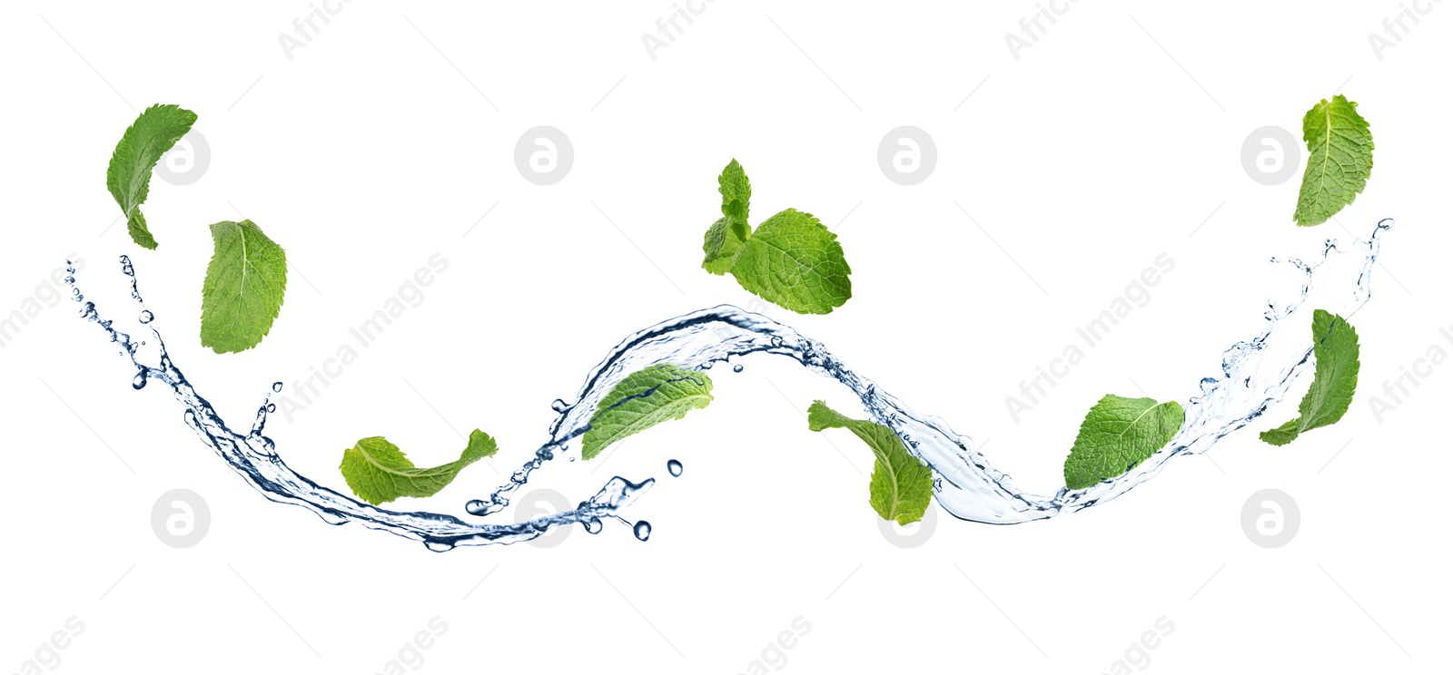 Image of Set of flying green mint leaves with splash of water on white background. Banner design