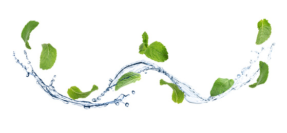 Image of Set of flying green mint leaves with splash of water on white background. Banner design