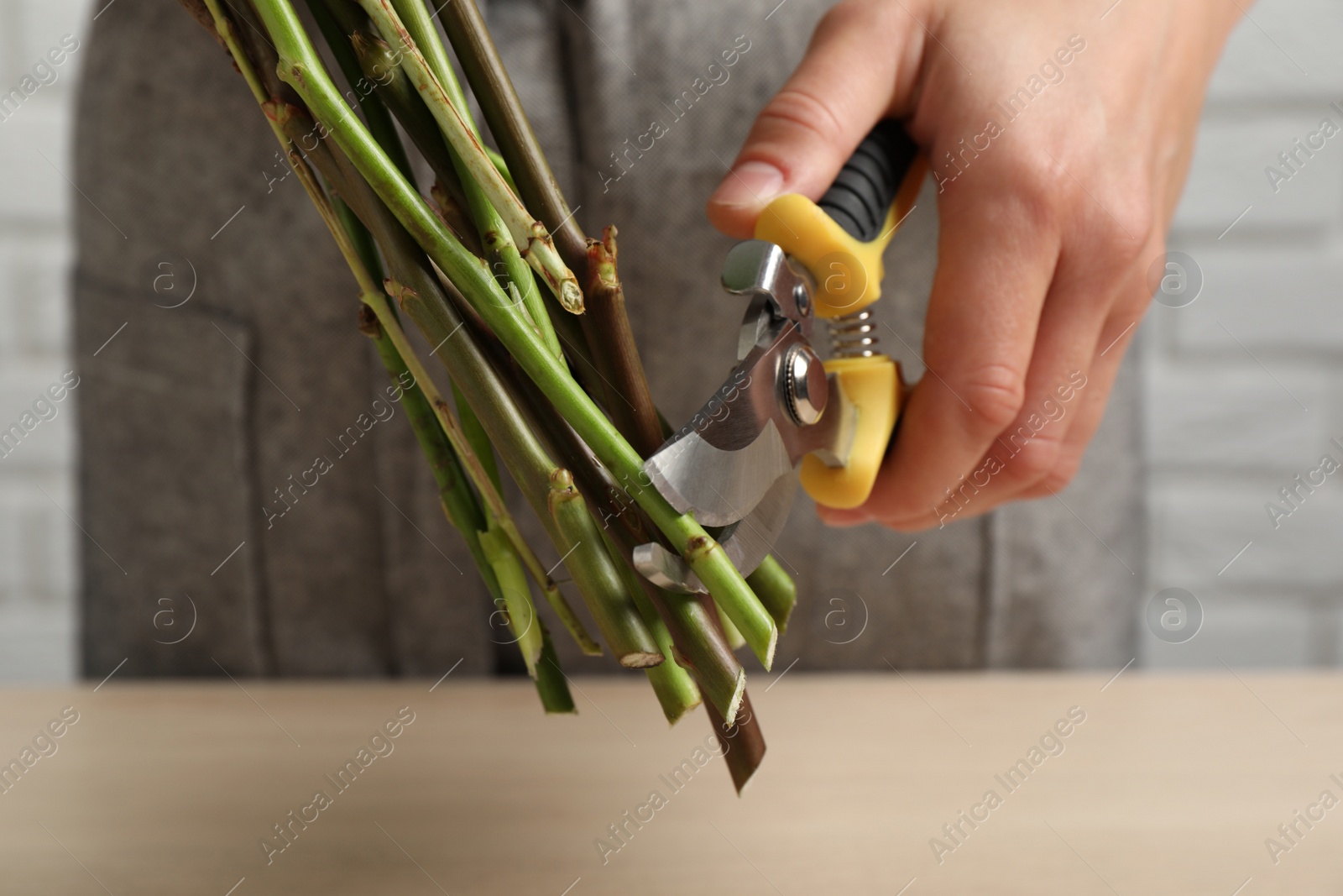 Photo of Florist cutting flower stems with pruner at workplace, closeup