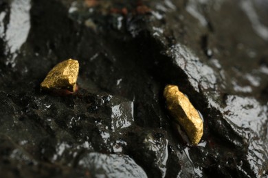 Photo of Shiny gold nuggets on wet stone, closeup