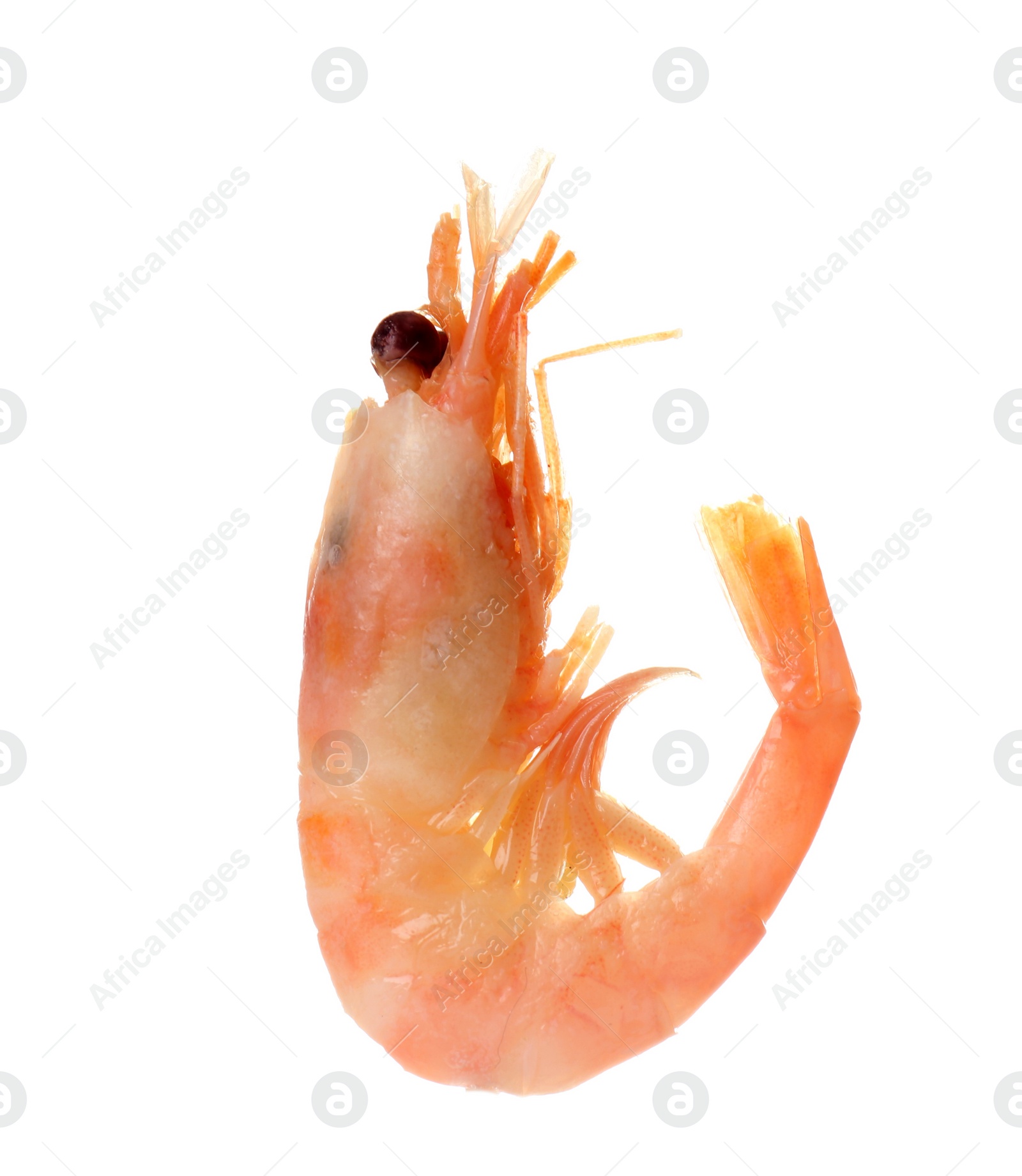 Photo of Raw shrimp on white background. Fresh seafood