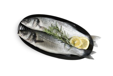 Photo of Dish with fresh sea bass fish, lemon and rosemary on white background, top view