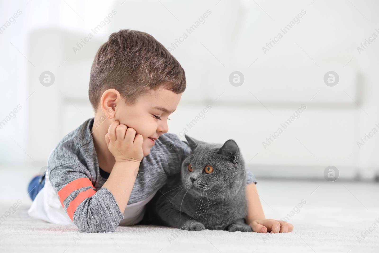 Photo of Cute little child with cat at home