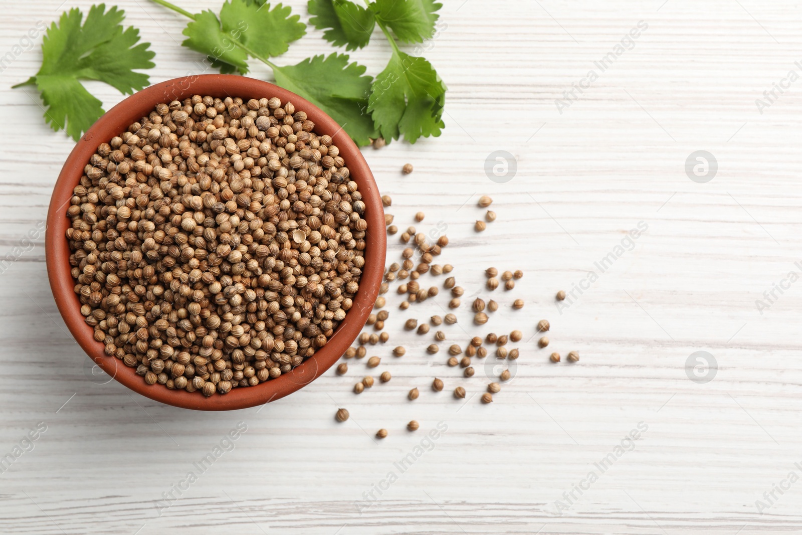 Photo of Dried coriander seeds in bowl and green leaves on wooden table, flat lay. Space for text